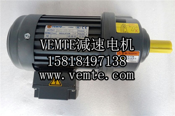 立式齒輪減速馬達 (2) 立式齒輪減速馬達 (2)