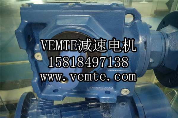 齒輪減速電機 (21) 齒輪減速電機 (21)