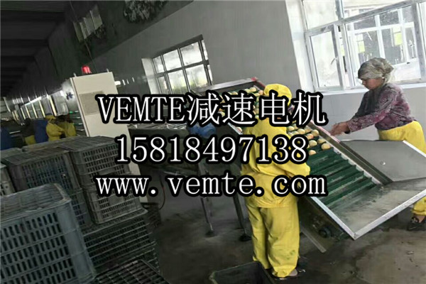 齒輪減速電機 (74) 齒輪減速電機 (74)