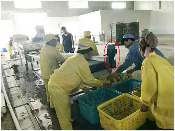 F107齒輪減速機在清洗設(shè)備上的應(yīng)用 F107齒輪減速機在清洗設(shè)備上的應(yīng)用