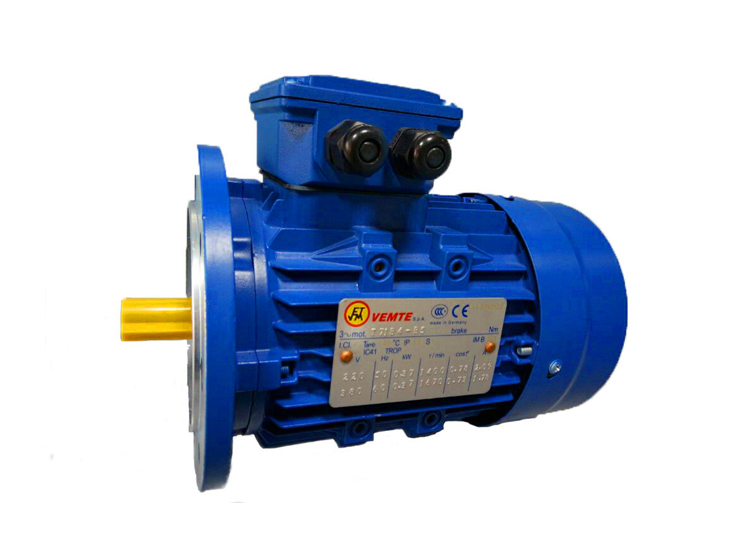 YS系列電機 VEMT調速電機 YS系列電機 VEMT調速電機