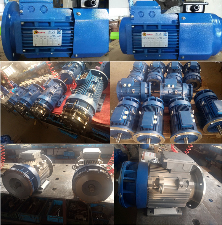 VEMT變頻電機 VEMT變頻電機